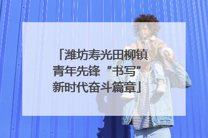 潍坊寿光田柳镇青年先锋“书写”新时代奋斗篇章