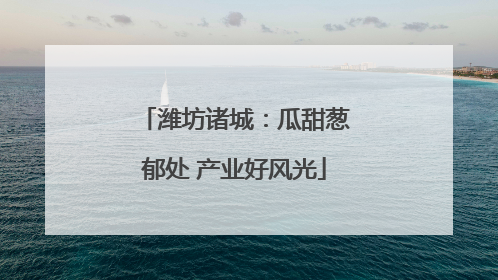 潍坊诸城：瓜甜葱郁处 产业好风光