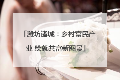 潍坊诸城：乡村富民产业 绘就共富新图景