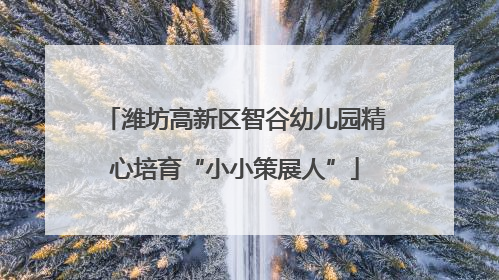 潍坊高新区智谷幼儿园精心培育“小小策展人”