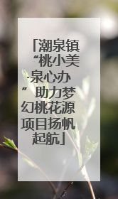 潮泉镇“桃小美·泉心办”助力梦幻桃花源项目扬帆起航