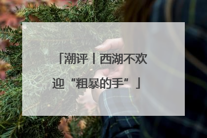 潮评丨西湖不欢迎“粗暴的手”