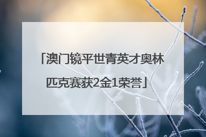澳门镜平世青英才奥林匹克赛获2金1荣誉