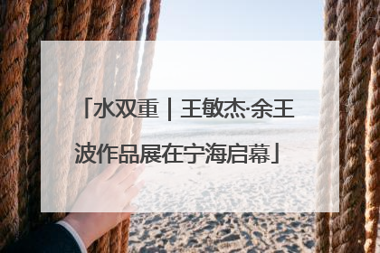 水双重｜王敏杰·余王波作品展在宁海启幕