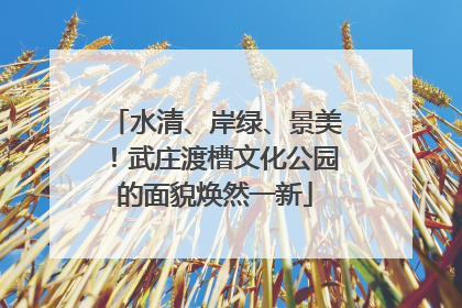 水清、岸绿、景美！武庄渡槽文化公园的面貌焕然一新