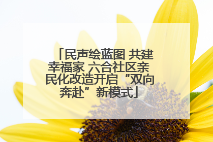 民声绘蓝图 共建幸福家 六合社区亲民化改造开启“双向奔赴”新模式