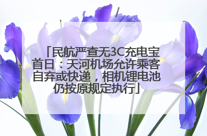 民航严查无3C充电宝首日：天河机场允许乘客自弃或快递，相机锂电池仍按原规定执行