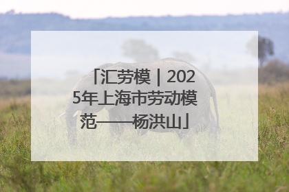 汇劳模｜2025年上海市劳动模范——杨洪山