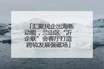 汇聚民企出海新动能，兰山区“沂企联”会客厅打造跨境发展强磁场