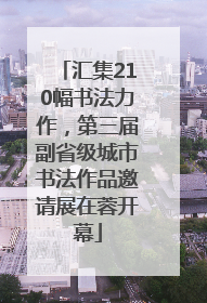 汇集210幅书法力作，第三届副省级城市书法作品邀请展在蓉开幕