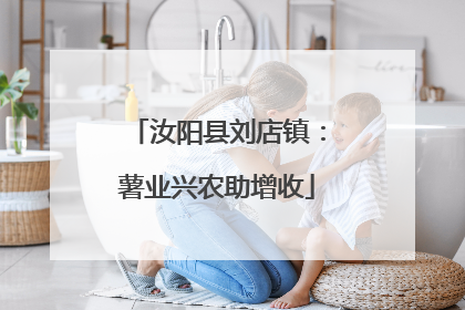 汝阳县刘店镇：薯业兴农助增收