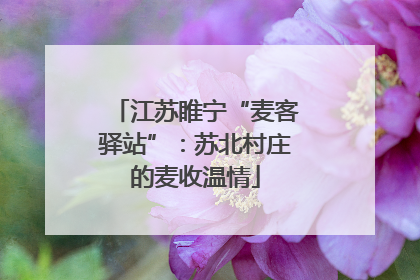 江苏睢宁“麦客驿站”：苏北村庄的麦收温情