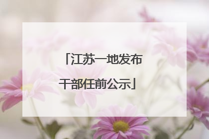 江苏一地发布干部任前公示