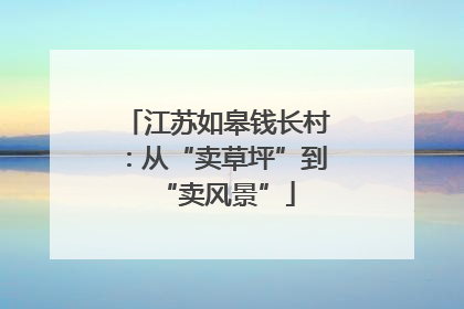 江苏如皋钱长村：从“卖草坪”到“卖风景”