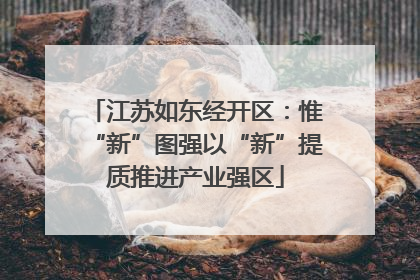 江苏如东经开区：惟“新”图强以“新”提质推进产业强区