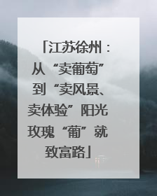 江苏徐州：从“卖葡萄”到“卖风景、卖体验”阳光玫瑰“葡”就致富路