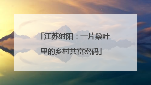 江苏射阳：一片桑叶里的乡村共富密码