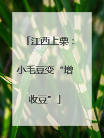 江西上栗：小毛豆变“增收豆”