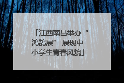 江西南昌举办“鸿鹄展” 展现中小学生青春风貌