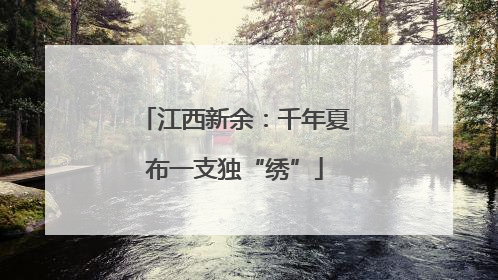 江西新余：千年夏布一支独“绣”