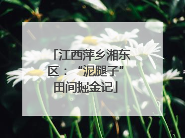 江西萍乡湘东区：“泥腿子”田间掘金记