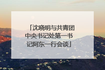 沈晓明与共青团中央书记处第一书记阿东一行会谈