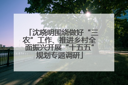 沈晓明围绕做好“三农”工作、推进乡村全面振兴开展“十五五”规划专题调研