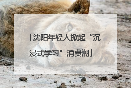 沈阳年轻人掀起“沉浸式学习”消费潮