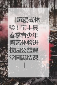 沉浸式体验！宝丰县春季青少年陶艺体验进校园公益课堂圆满结课