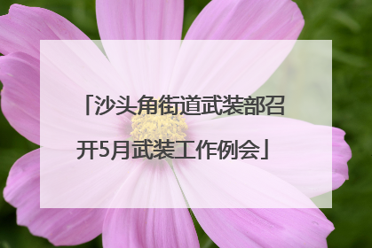 沙头角街道武装部召开5月武装工作例会