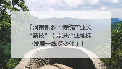 河南新乡：传统产业长“新枝”（走进产业地标·发展一线探变化）