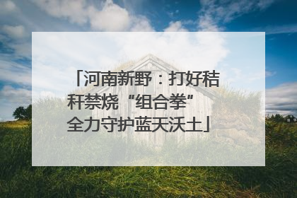 河南新野：打好秸秆禁烧“组合拳” 全力守护蓝天沃土