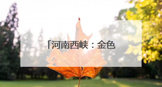 河南西峡：金色麦浪迎丰收 多措并举保“三夏”