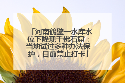 河南鹤壁一水库水位下降现千佛石窟：当地试过多种办法保护，目前禁止打卡