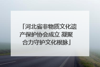 河北省非物质文化遗产保护协会成立 凝聚合力守护文化根脉