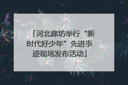 河北廊坊举行“新时代好少年”先进事迹现场发布活动