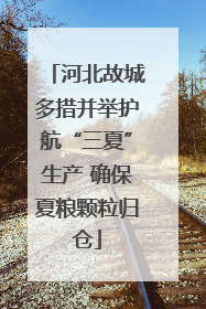 河北故城多措并举护航“三夏”生产 确保夏粮颗粒归仓
