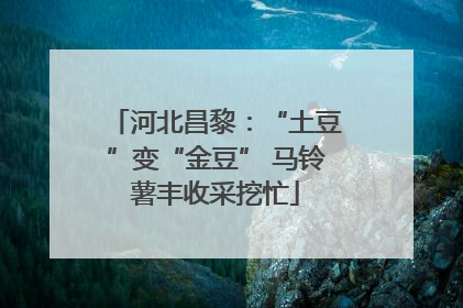 河北昌黎：“土豆”变“金豆” 马铃薯丰收采挖忙
