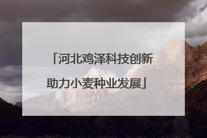 河北鸡泽科技创新助力小麦种业发展