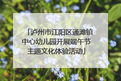 泸州市江阳区通滩镇中心幼儿园开展端午节主题文化体验活动