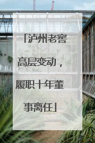 泸州老窖高层变动，履职十年董事离任