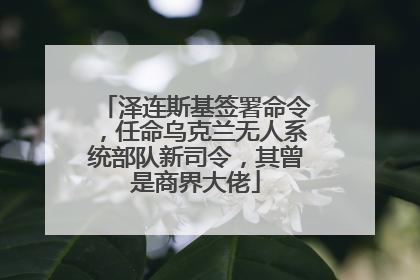 泽连斯基签署命令，任命乌克兰无人系统部队新司令，其曾是商界大佬