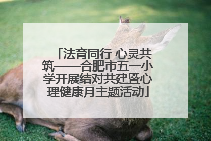 法育同行 心灵共筑——合肥市五一小学开展结对共建暨心理健康月主题活动