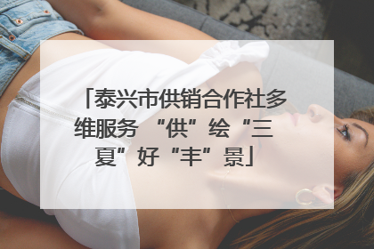 泰兴市供销合作社多维服务 “供”绘“三夏”好“丰”景