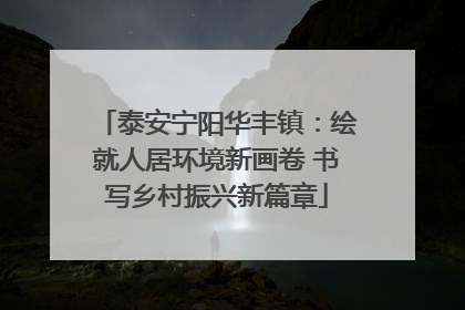 泰安宁阳华丰镇：绘就人居环境新画卷 书写乡村振兴新篇章