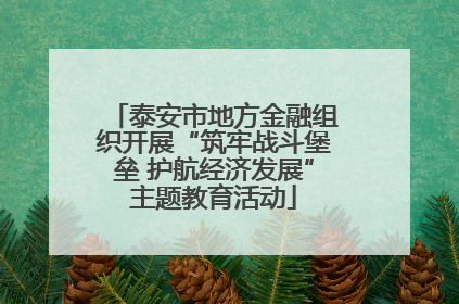 泰安市地方金融组织开展“筑牢战斗堡垒 护航经济发展”主题教育活动