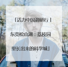 活力中国调研行丨东莞松山湖：荔枝园里长出来的科学城