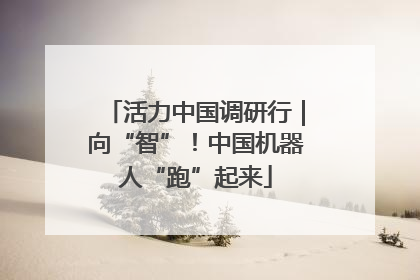 活力中国调研行｜向“智”！中国机器人“跑”起来