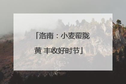 洛南：小麦覆陇黄 丰收好时节