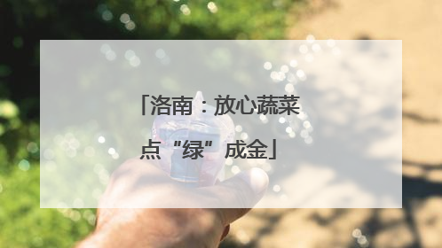 洛南：放心蔬菜点“绿”成金